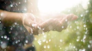Armazenar Água Da Chuva Para Utilizar Em Casa Pode Ser Mais Fácil Do Que Você Imagina 00